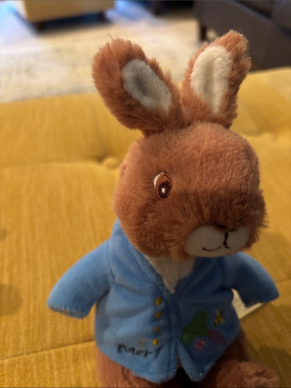 Peter Rabbit - Picture 4 of 5